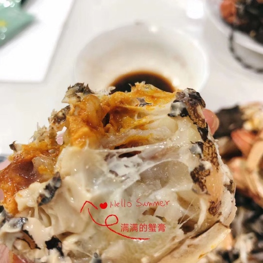 宝应县 肥满鲜美的大闸蟹，规格大价格优，欢迎批发商询价