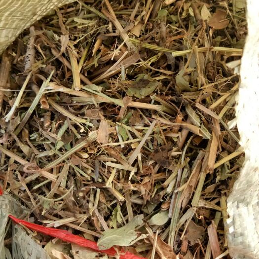 周口花生秧 花生草