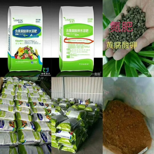 行唐县腐殖酸钾  含黄腐酸钾水溶肥，多元素氮肥追肥