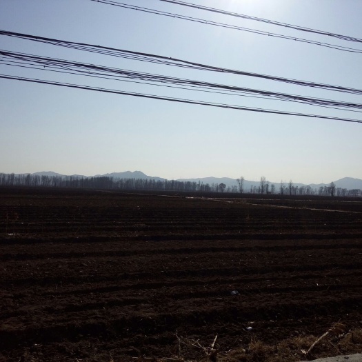 农场  寻找合作伙伴，有六百多亩水浇地