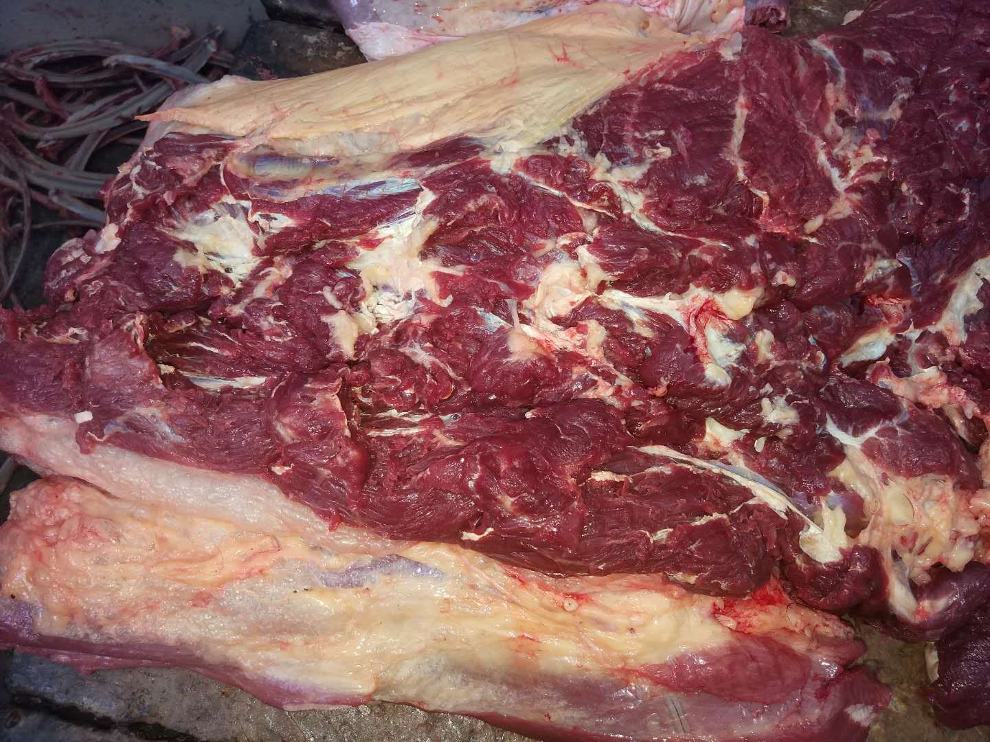 蒙古马肉，五分体，脖子肉