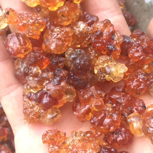 玉林食用桃胶 24个月以上 袋装 本品不能代替药物