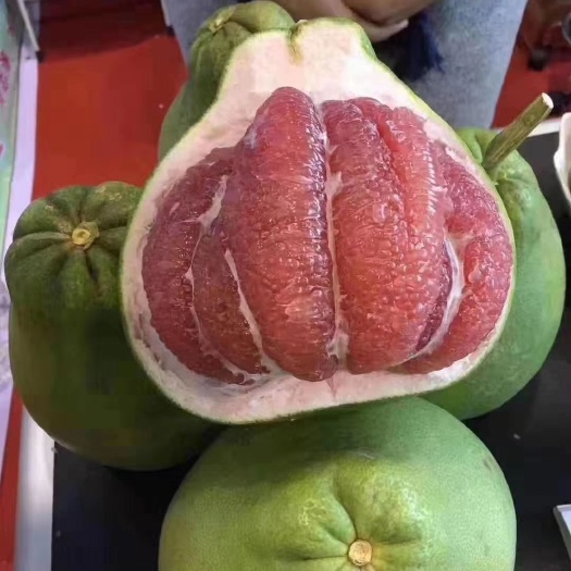 灵山县青皮红心柚嫁接苗，种下一年挂果，免费提