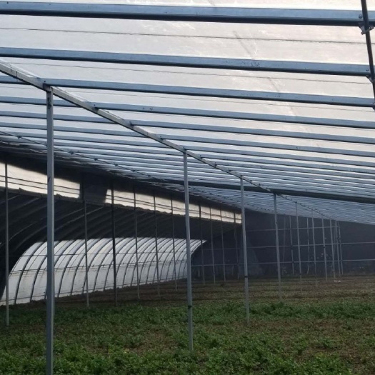 泊头市种植大棚 大棚阴阳棚