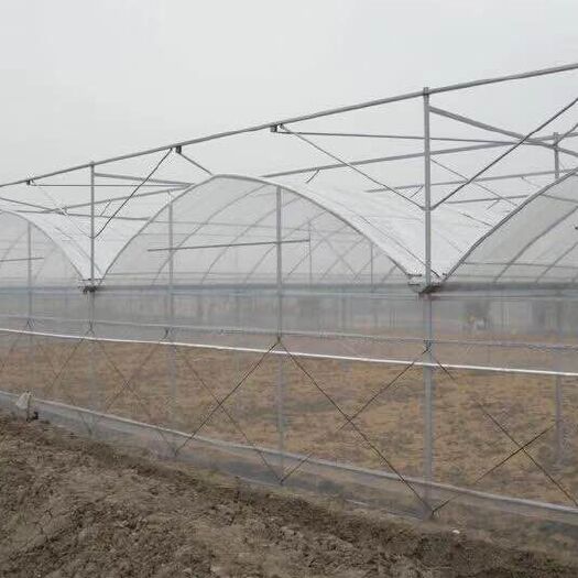 泊头市连体温室大棚 连体棚连栋膜棚