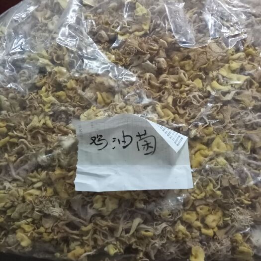 合肥鸡油菌，黄金菇