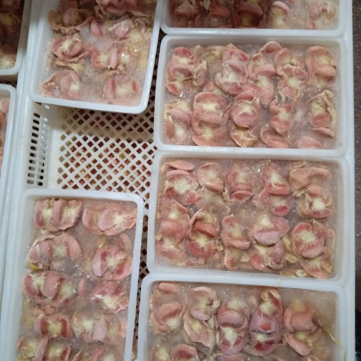 莘縣去肚精品裝雞胗，鮮雞胗  三黃雞雞胗  可定制