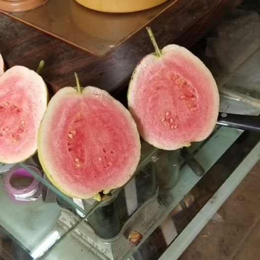 广州红心芭乐 200-250克
