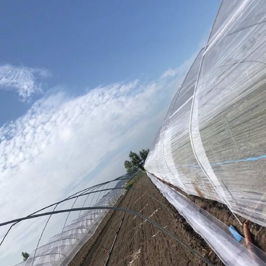 天津蔬菜大棚 大棚骨架钢管迷你钢架温室大棚蔬菜种植棚养殖大棚连体连栋棚配件