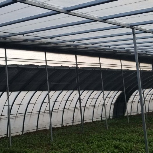 泊头市种植大棚 大棚骨架厂家阴阳蔬菜大棚