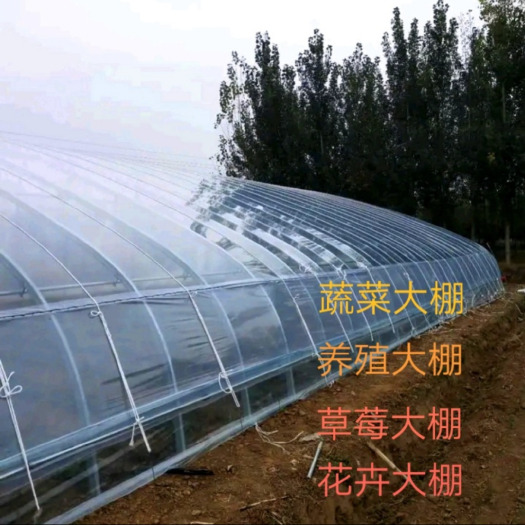 天津大棚管 大棚杆  椭圆管骨架 圆管骨架 锌层高 耐腐蚀 使用寿命长 定尺定做