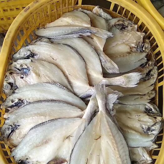 霞浦县 霞浦特产优质半干黄花鱼