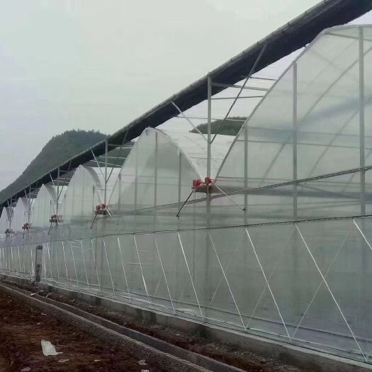 沭阳县大棚  连栋棚 连动棚 阳光棚 玻璃温室。
