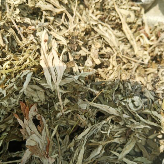 五莲县 大宗山东五莲山优质山生艾叶，纯叶，出绒高，绒长，标价为参考价