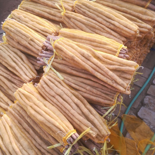 饶阳县 网袋货