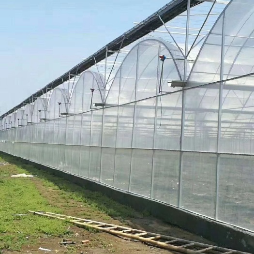 泊头市连体温室大棚 连栋膜棚厂家，连栋温室骨架厂家