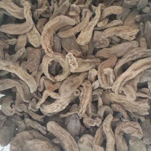 城固县 天麻大量有货