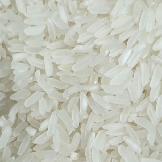 泗洪县籼米 一等品 中稻 籼米