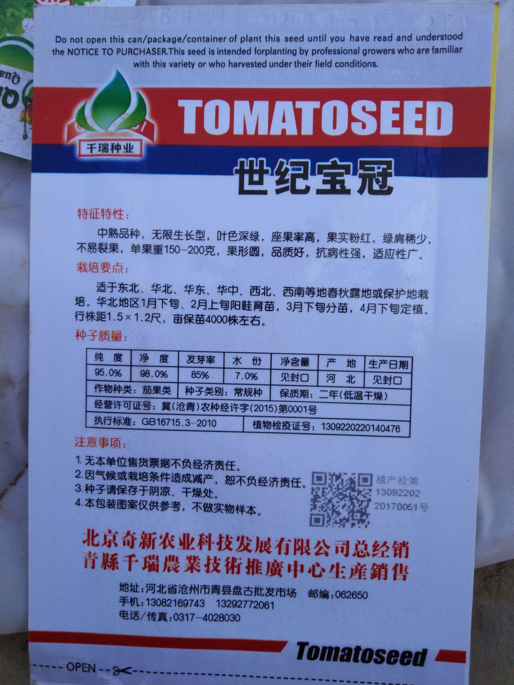  西红柿种子 大西红柿