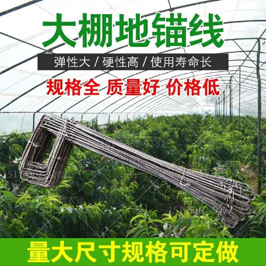 寿光市大棚配件 温室大棚地锚地桩拉线防锈加厚钢筋热镀锌耐腐蚀固定压膜不锈钢