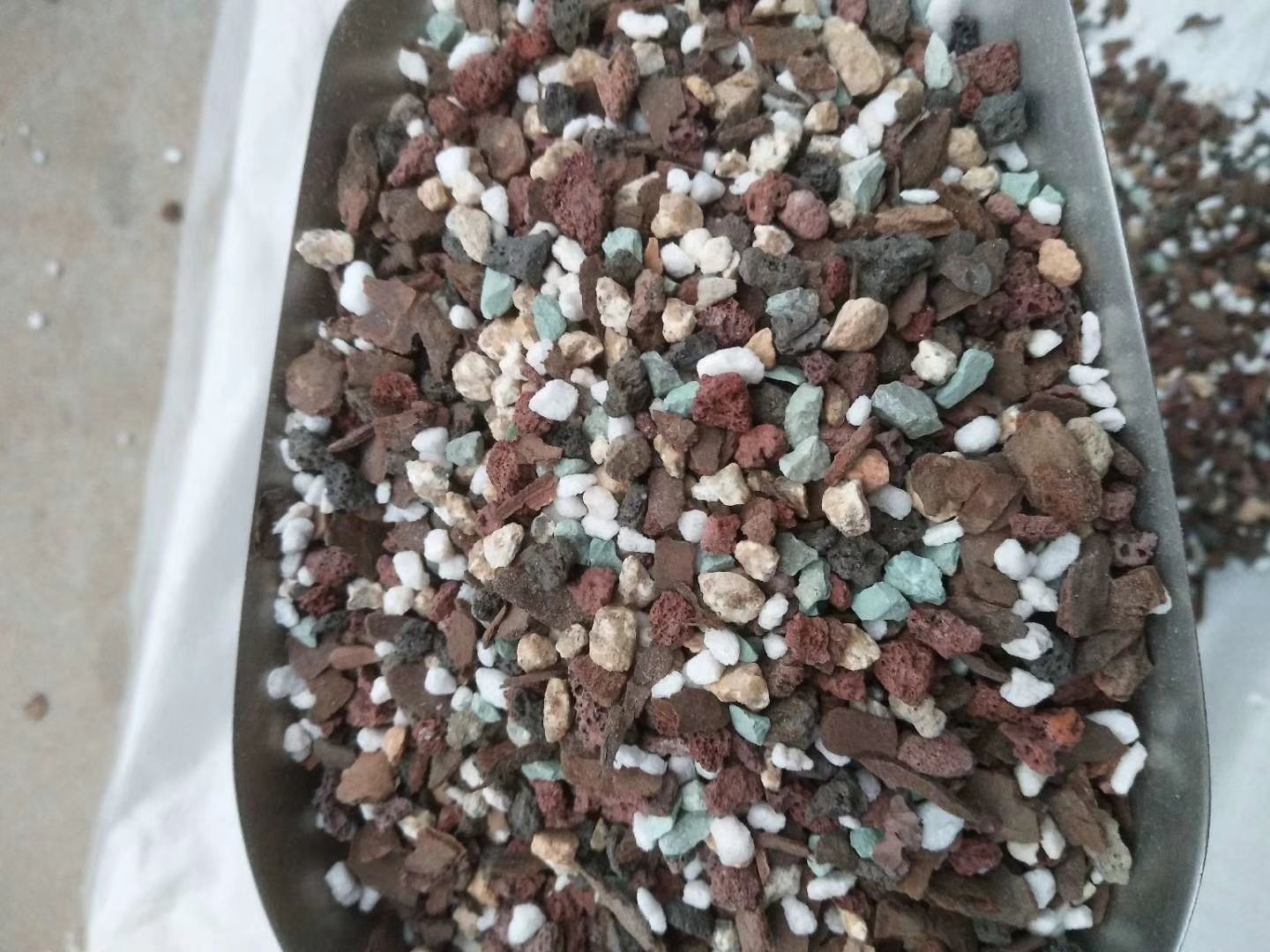  12合1多肉植物营养土