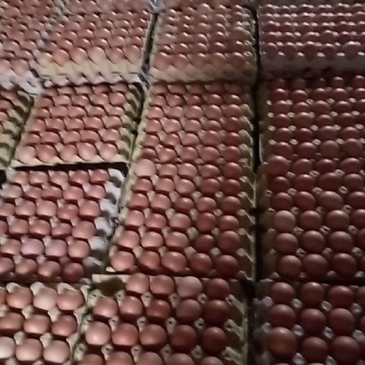 洛南县普通鸡蛋 食用 散装