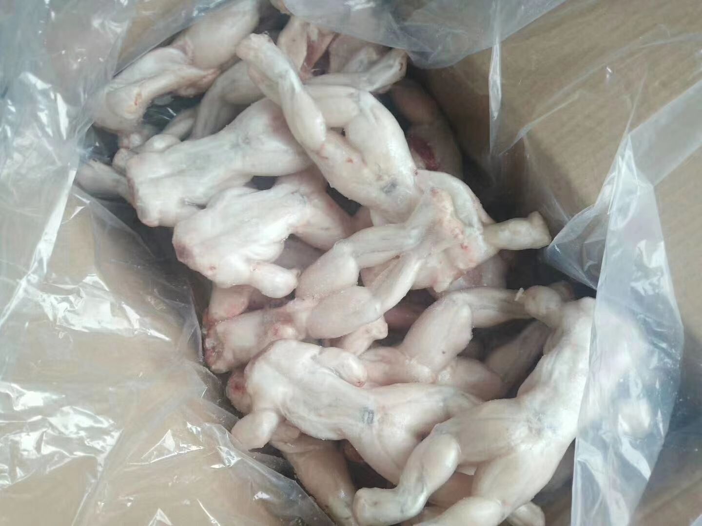 牛蛙价格最新收购价格 牛蛙今天收购什么价格8月30