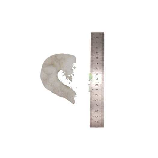 广州冻虾仁 速冻青虾仁(无冰4包装)71/90  9.5kg/件