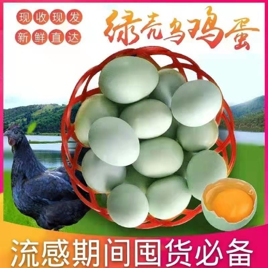 上林县 绿壳土鸡蛋新鲜美味