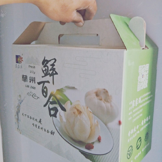 兰州 鲜百合一兰州百合