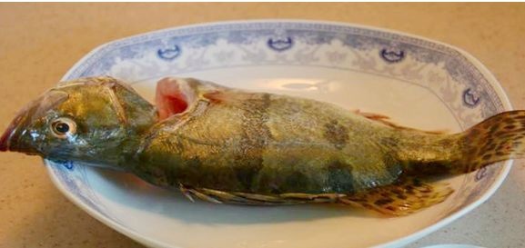 湖州 湖州鳜鱼