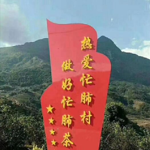 永德县忙肺古树茶 可批发可散装也可以礼盒包装