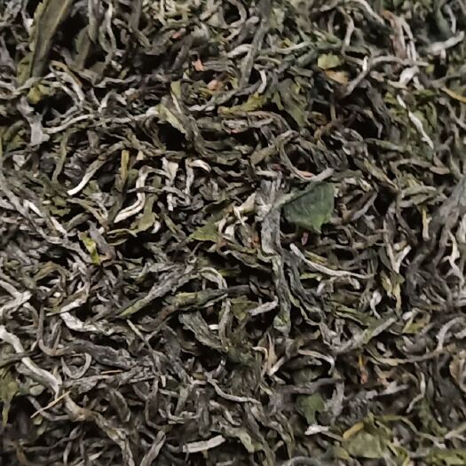景洪市 普洱生茶。2020年明前茶，价格美丽