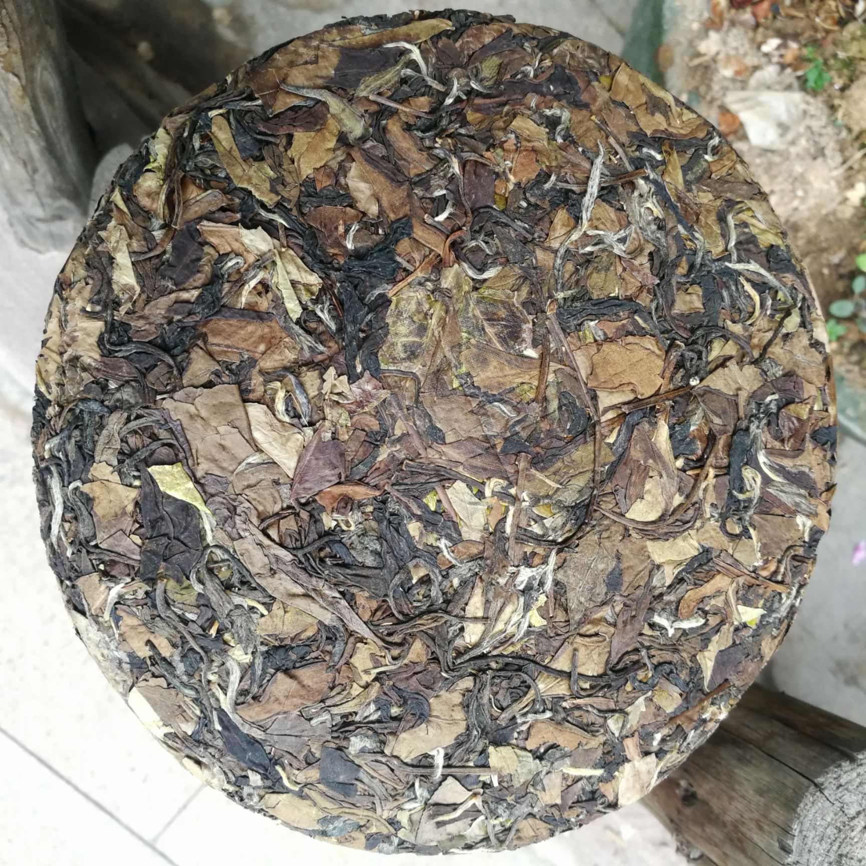  福鼎老树白茶2016