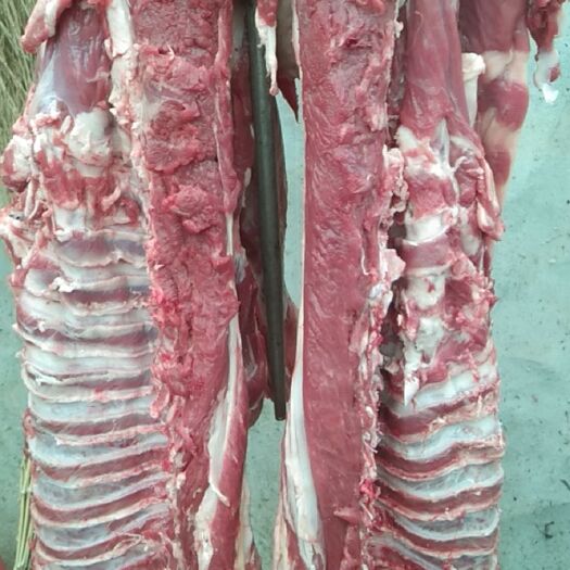 东营 鲜羊肉批发