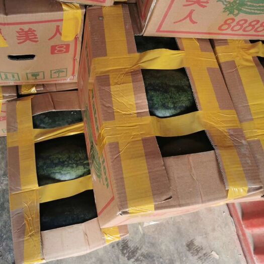 河口县黑美人西瓜 黑美人一级果