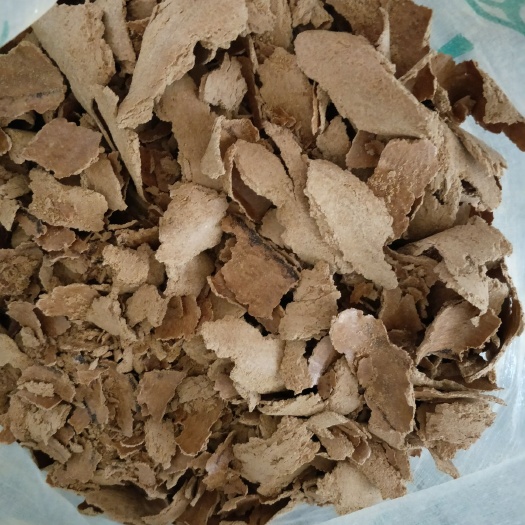 大石桥市豆饼饲料 豆饼  熟榨豆饼   优质豆饼   非转基因塔选大