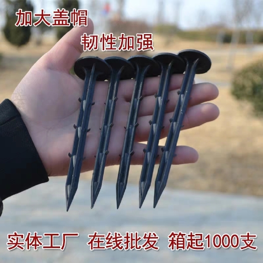 无棣县 防草布地钉塑料地钉，农业大棚种植地钉