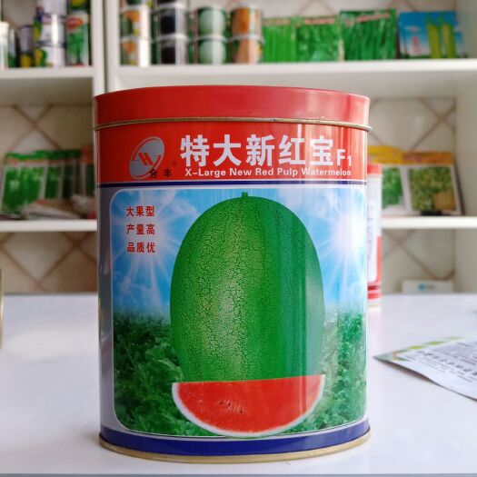 沭阳县特大新红宝西瓜种子大果型产量高品质好原装50克