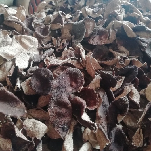 江门 新会陈皮：入药可调百方，入膳可调百味
入茶可调百韵，真正做到