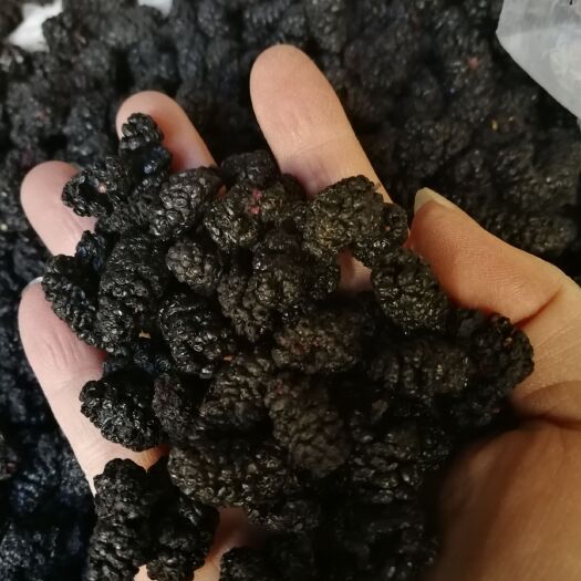 乌鲁木齐2019新货天然风干直接食用大粒桑葚干