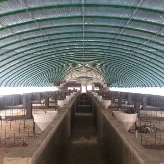 天津养殖大棚 有需要我我会尽心尽力的为您服务
