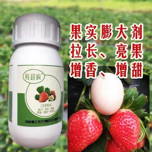 莘县叶面肥料 草莓专用膨大剂