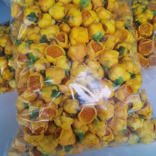 防城港 金花茶产地直销