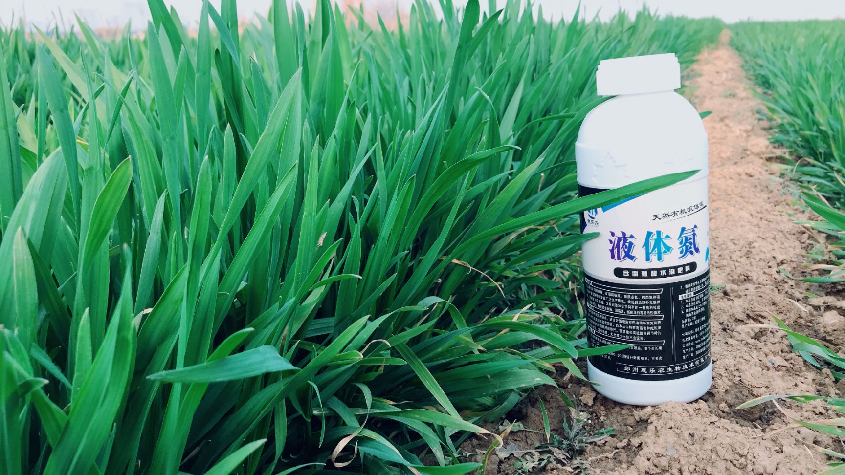 氮肥  液体氮整箱12瓶替代尿素追肥瓜果蔬菜玉米小麦水稻迅速补氮增产