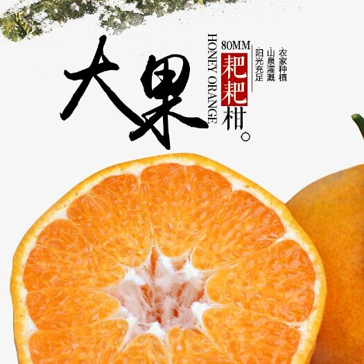 井研县 春见耙耙柑上等货