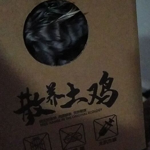 桃源县 山林散养土鸡出货