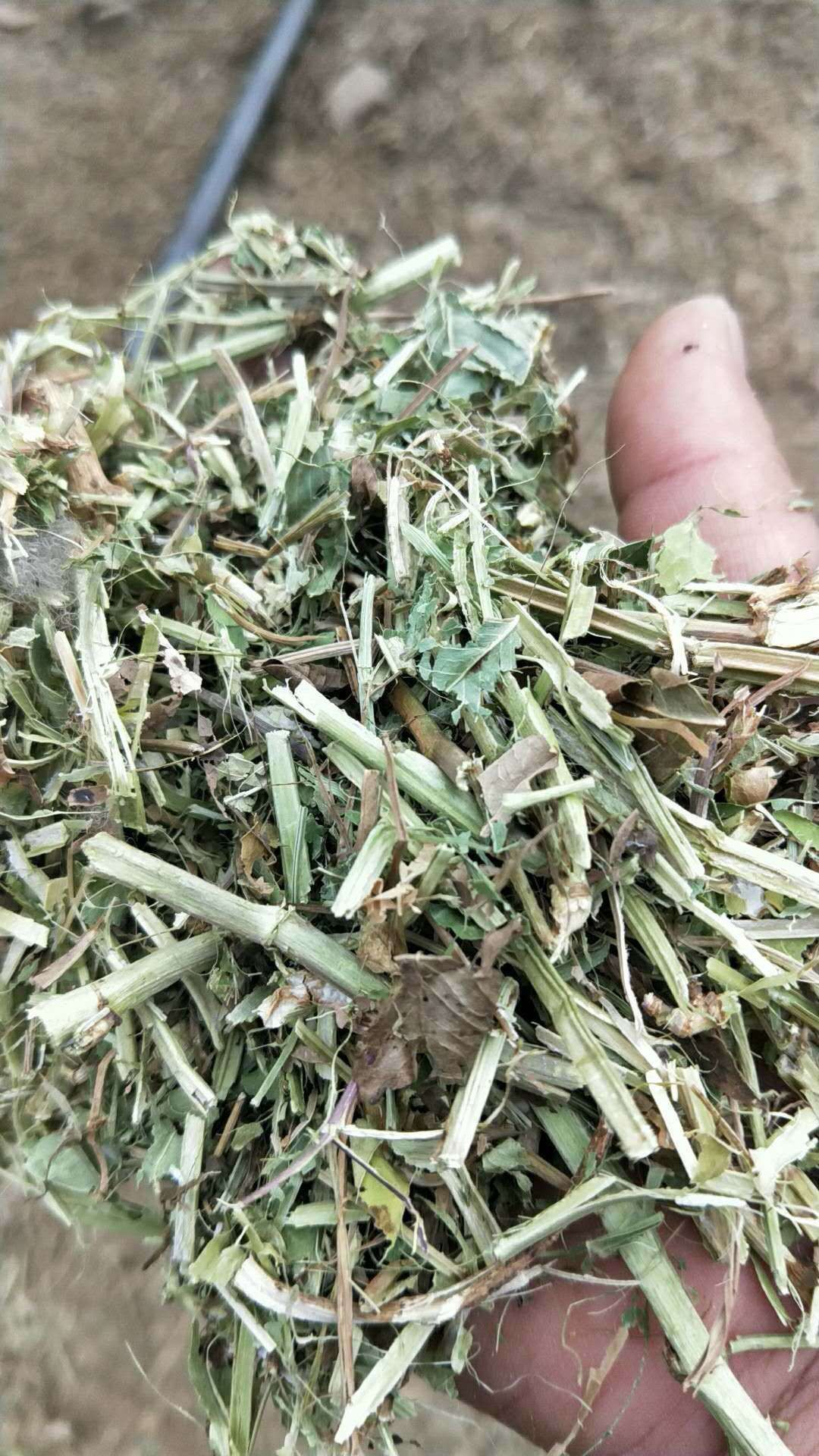 一级花生秧牛羊草，草粉，无土，无膜，无霉变，保证质量
