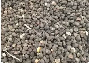 牵牛花种子  重瓣大花矮牵牛种子室内外易种盆栽植物花卉四