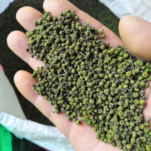 樟树市 江西樟树中花吴茱萸籽